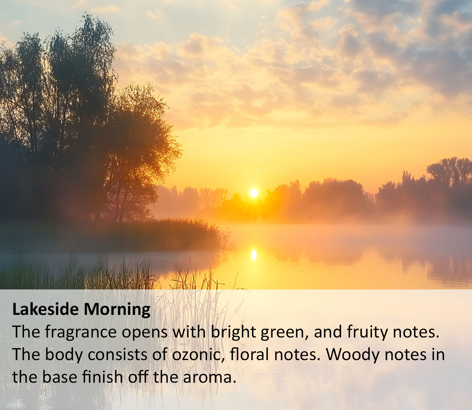Lakeside Morning Scent